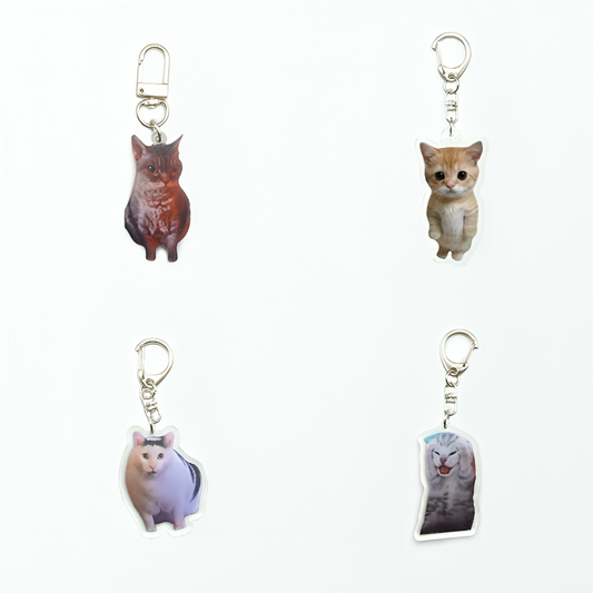 The Cat Meme Keychain